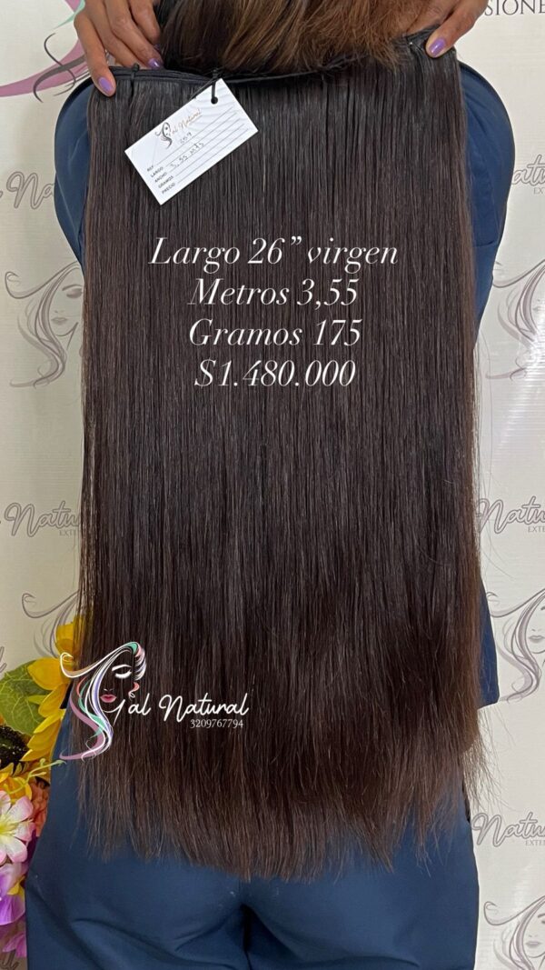 LISO REF LS359