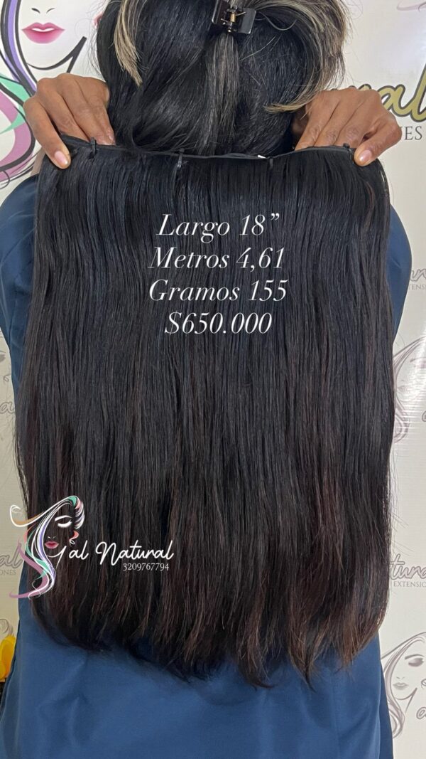 LISO REF LS446