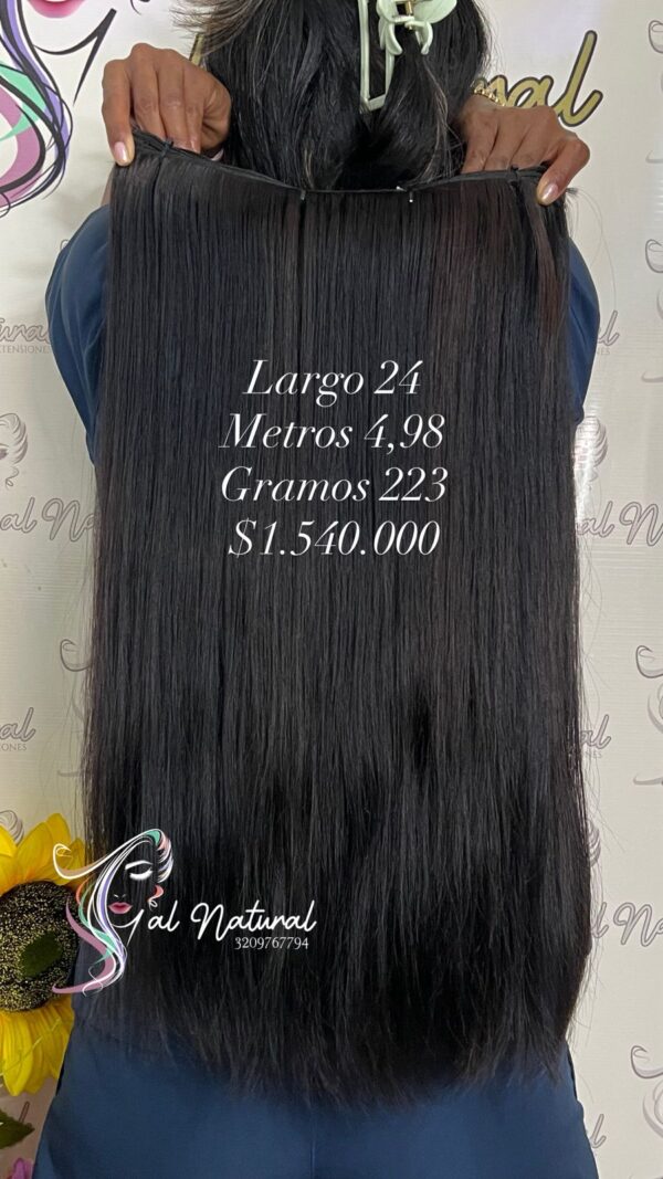 LISO REF LS484