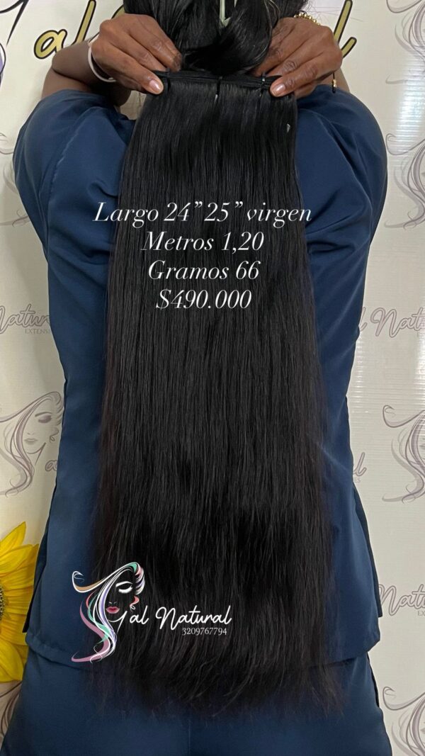 LISO REF LS505