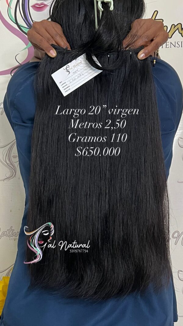 LISO REF LS509