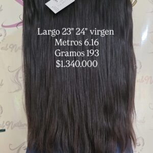 LISO REF LS231