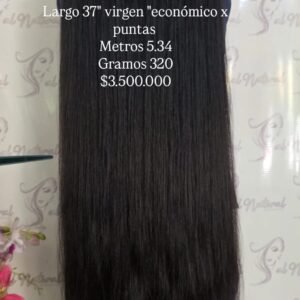 LISO REF LS350